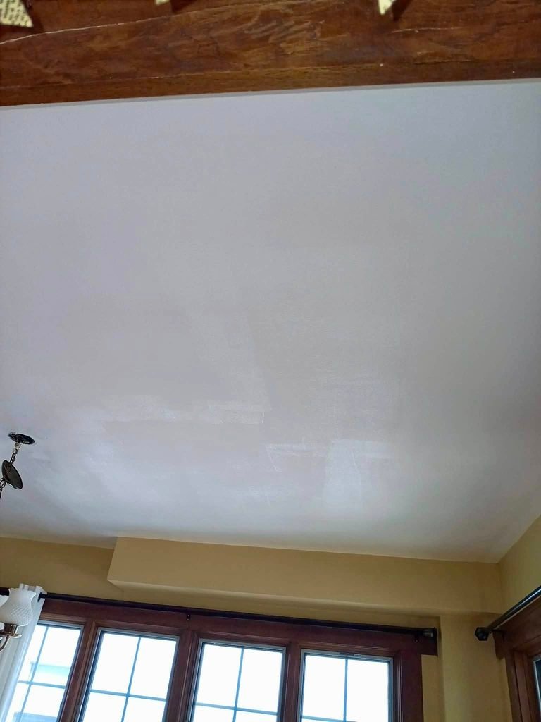 Celling-Repair-Adagio-Drywall